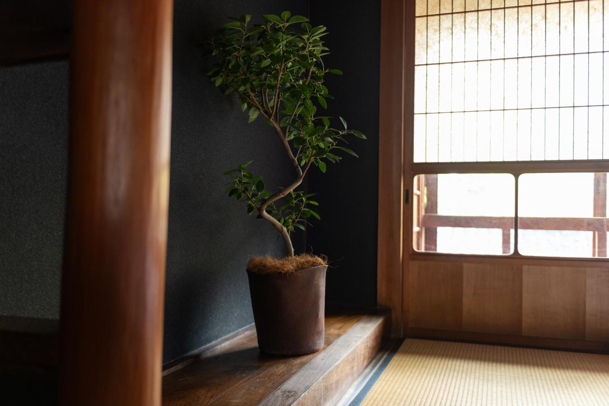 篠山城下町ゲストハウス Quolo Tamba-Sasayama ภายนอก รูปภาพ
